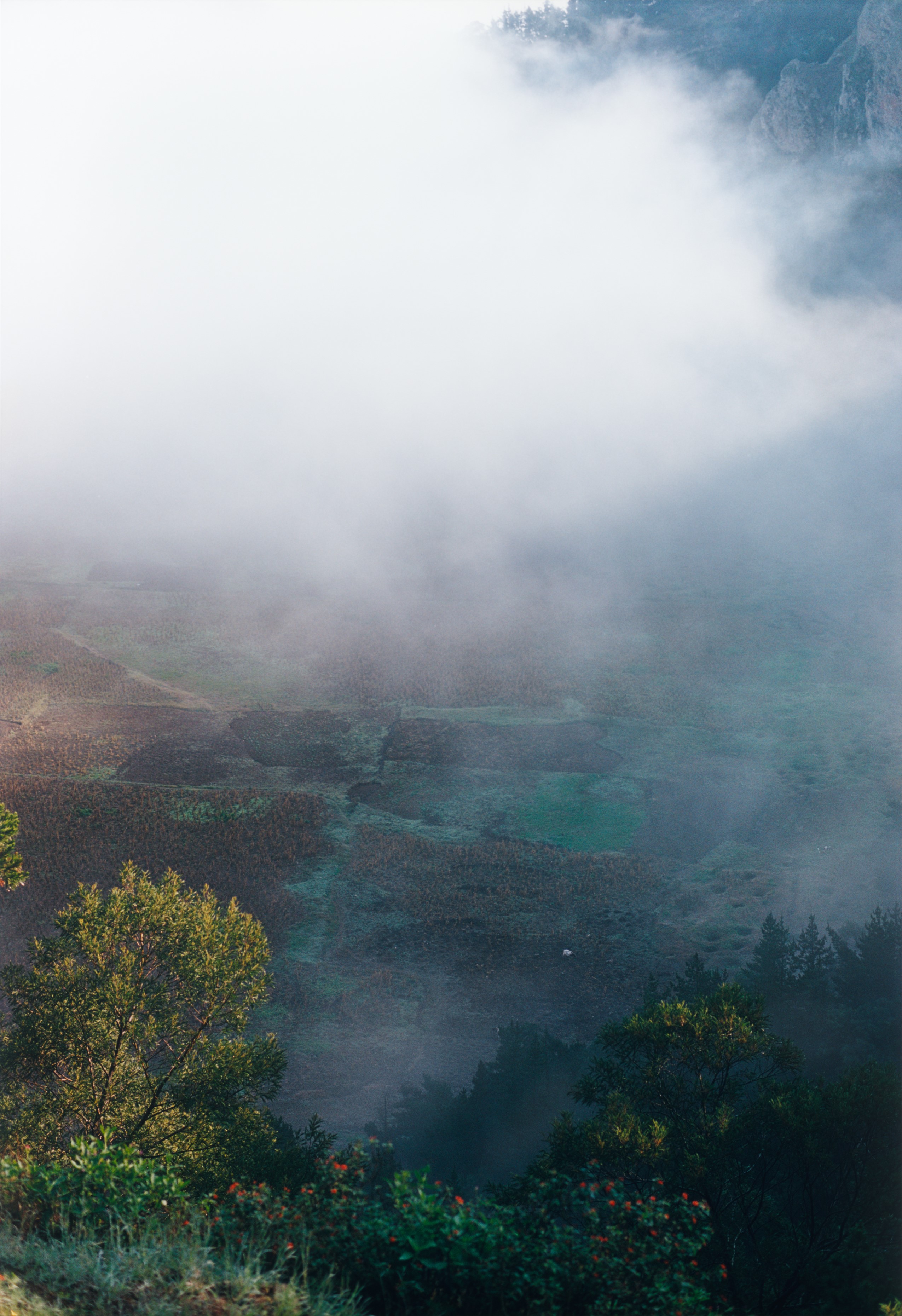 Выставка «Самое красивое место, где я когда-либо был»