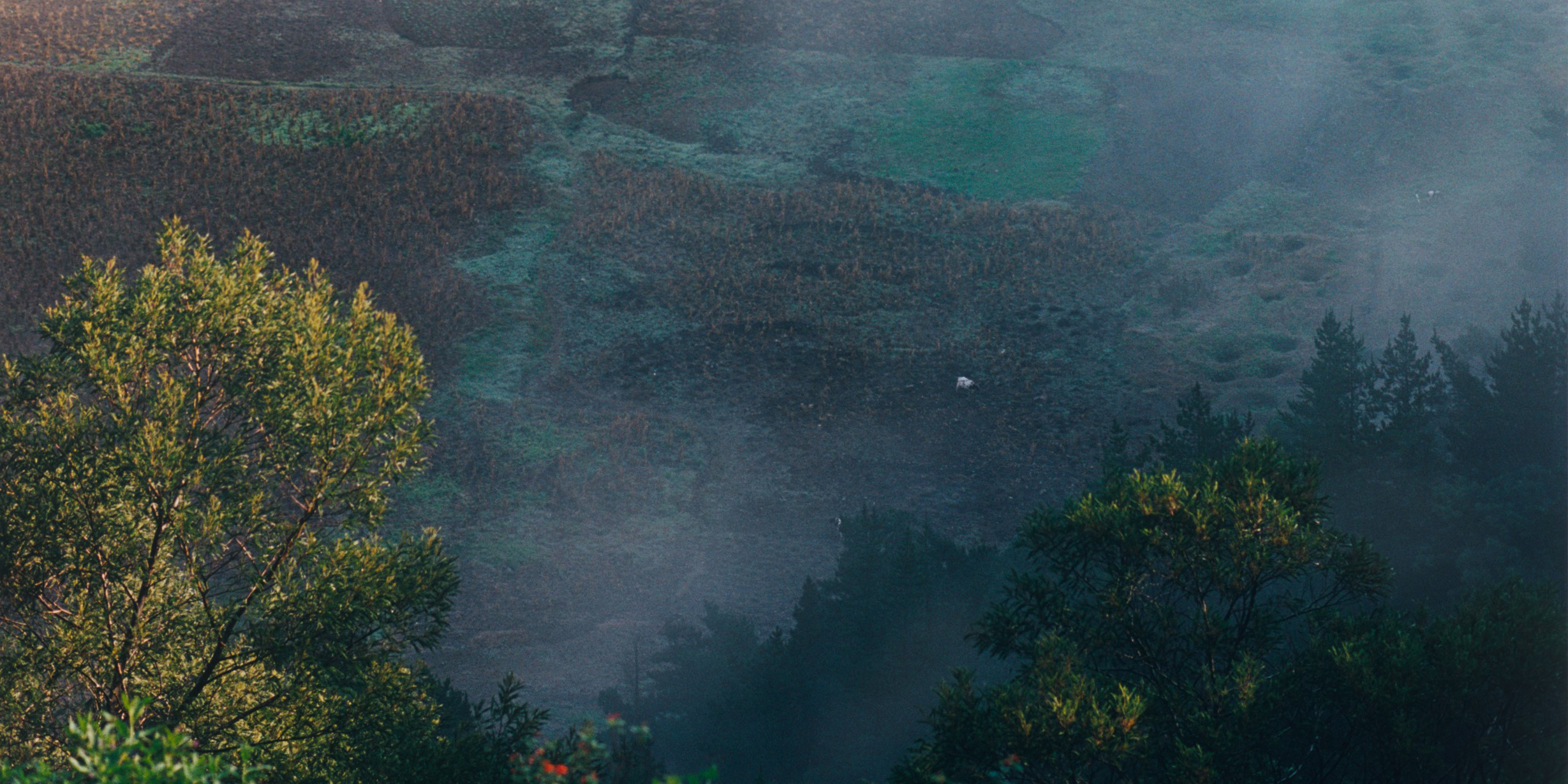 Выставка «Самое красивое место, где я когда-либо был»